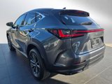 New 2026 Lexus NX 350 AWD w/ Premium Package image 5