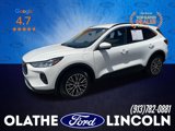 Used 2024 Ford Escape SE image 1