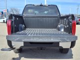 New 2025 Toyota Tundra 1794 Edition image 5