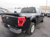 Certified 2023 Ford F150 XLT image 5