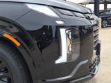 New 2025 Hyundai Palisade Calligraphy image 4