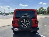 New 2025 Jeep Wrangler Sahara image 5