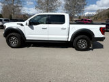 Used 2023 Ford F150 Raptor image 2