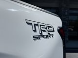 Used 2024 Toyota Tacoma TRD Sport image 4