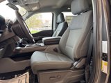 New 2025 Ford F150 XLT image 4