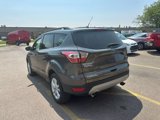 Used 2017 Ford Escape SE w/ Equipment Group 201A image 5