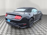Certified 2023 Ford Mustang GT Premium image 4