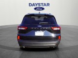 New 2025 Ford Escape ST-Line w/ Tech Pack #1 image 6