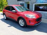 Used 2020 Ford Escape SE image 2