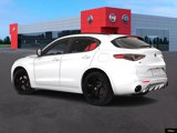 New 2025 Alfa Romeo Stelvio Tributo Italiano image 4