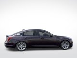 New 2025 Cadillac CT5 Premium Luxury w/ Technology Package image 5