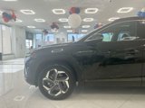 Used 2022 Hyundai Tucson Limited w/ Cargo Package image 6