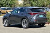 New 2026 Lexus NX 350h AWD w/ Premium Package image 6