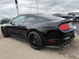 Used 2016 Ford Mustang Shelby GT350 w/ Technology Package image 5