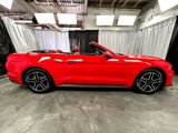 Used 2021 Ford Mustang Premium w/ Equipment Group 201A image 5