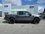 New 2025 Ford F150 STX w/ STX Black Appearance Package image 3