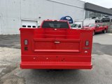 New 2025 Ford F350 XLT w/ Snow Plow Prep Package image 4