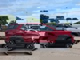 New 2026 GMC Terrain Elevation w/ Elevation Premium Package image 3