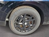 New 2025 Kia Carnival SX Prestige image 4