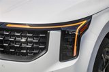 New 2025 Kia Carnival SX Prestige image 5