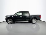 New 2025 Ford F150 XLT w/ Equipment Group 302A MID image 4