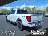 New 2025 Ford F150 XLT image 3