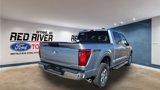 New 2025 Ford F150 XLT w/ Equipment Group 301A Standard image 5