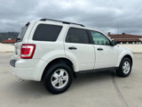 Used 2012 Ford Escape XLT image 5