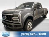 New 2025 Ford F450 Platinum image 1