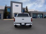 New 2025 Ford F150 XLT image 5