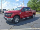 New 2025 Ford F150 XLT w/ Equipment Group 301A Standard image 3