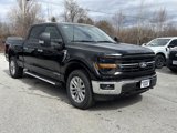 New 2025 Ford F150 XLT w/ Equipment Group 303A High image 3