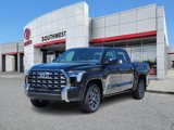 New 2025 Toyota Tundra Platinum image 2
