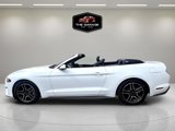 Used 2019 Ford Mustang Premium image 2