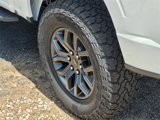 New 2025 Ford F150 Tremor image 5