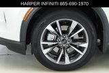 Certified 2025 INFINITI QX60 Luxe w/ Cargo Package image 5