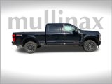 New 2025 Ford F250 Platinum image 2