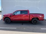 New 2025 Ford F150 XLT w/ Equipment Group 302A MID image 2
