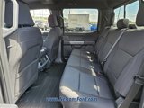 New 2025 Ford F150 XLT w/ Equipment Group 302A MID image 6