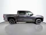 New 2025 Toyota Tundra Platinum image 2