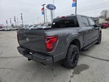 New 2025 Ford F150 XLT w/ Equipment Group 303A High image 3