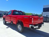 New 2025 Ford F250 XL image 3