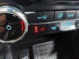 New 2025 Ford F150 XLT image 4