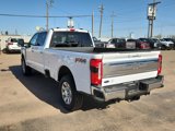 New 2025 Ford F250 4x4 Crew Cab Super Duty image 3