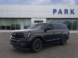 New 2025 Ford Expedition Platinum image 2