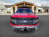 New 2025 Ford F150 XLT w/ Equipment Group 301A Standard image 2