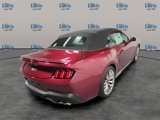 New 2025 Ford Mustang GT Premium image 5