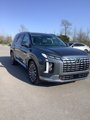 New 2025 Hyundai Palisade Calligraphy image 3