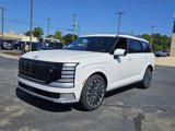 New 2026 Hyundai Palisade Calligraphy image 3