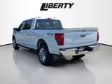 New 2025 Ford F150 XLT w/ Equipment Group 303A High image 5